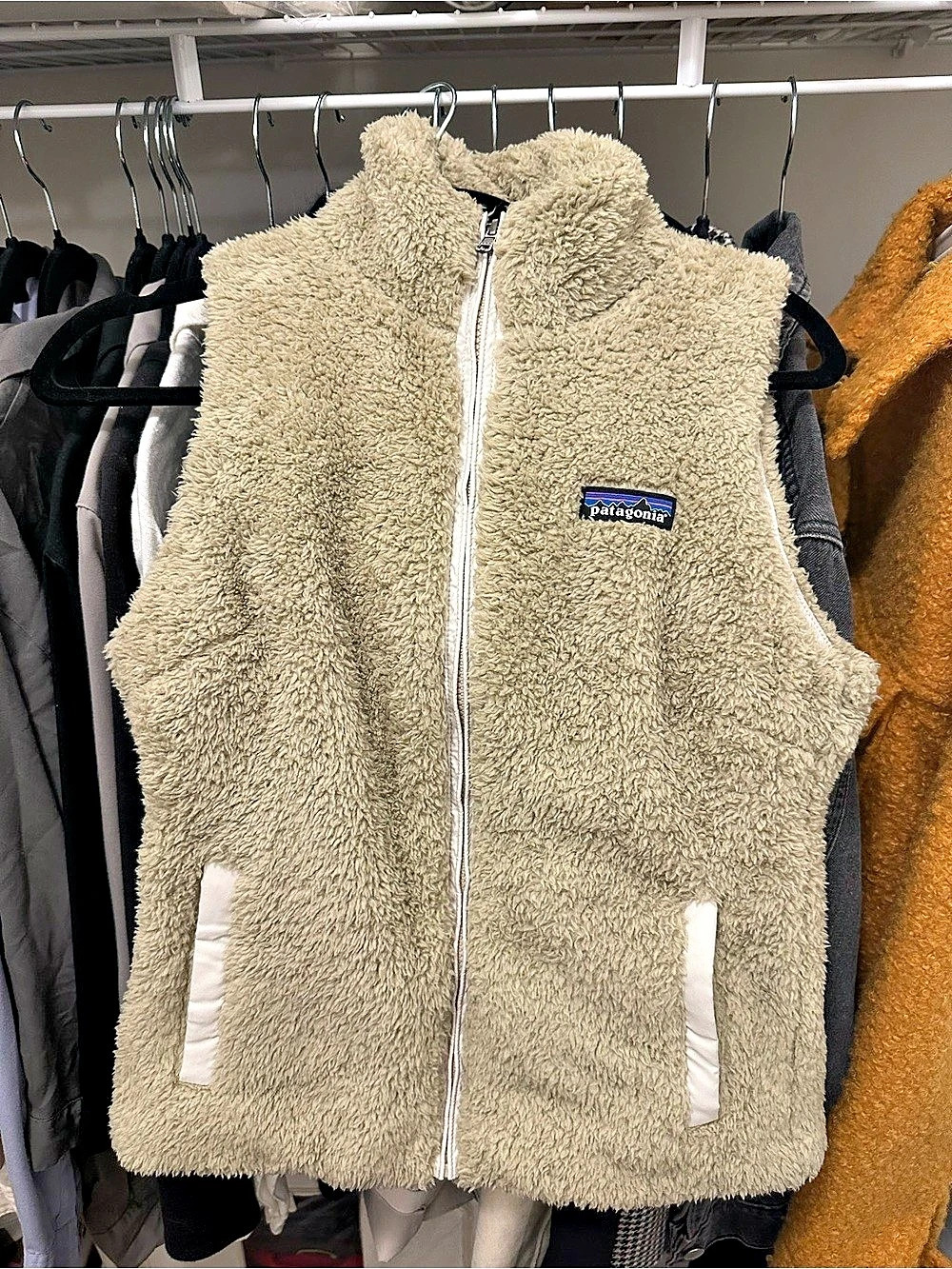 Patagonia Los Gatos Vest Fleece in Beige